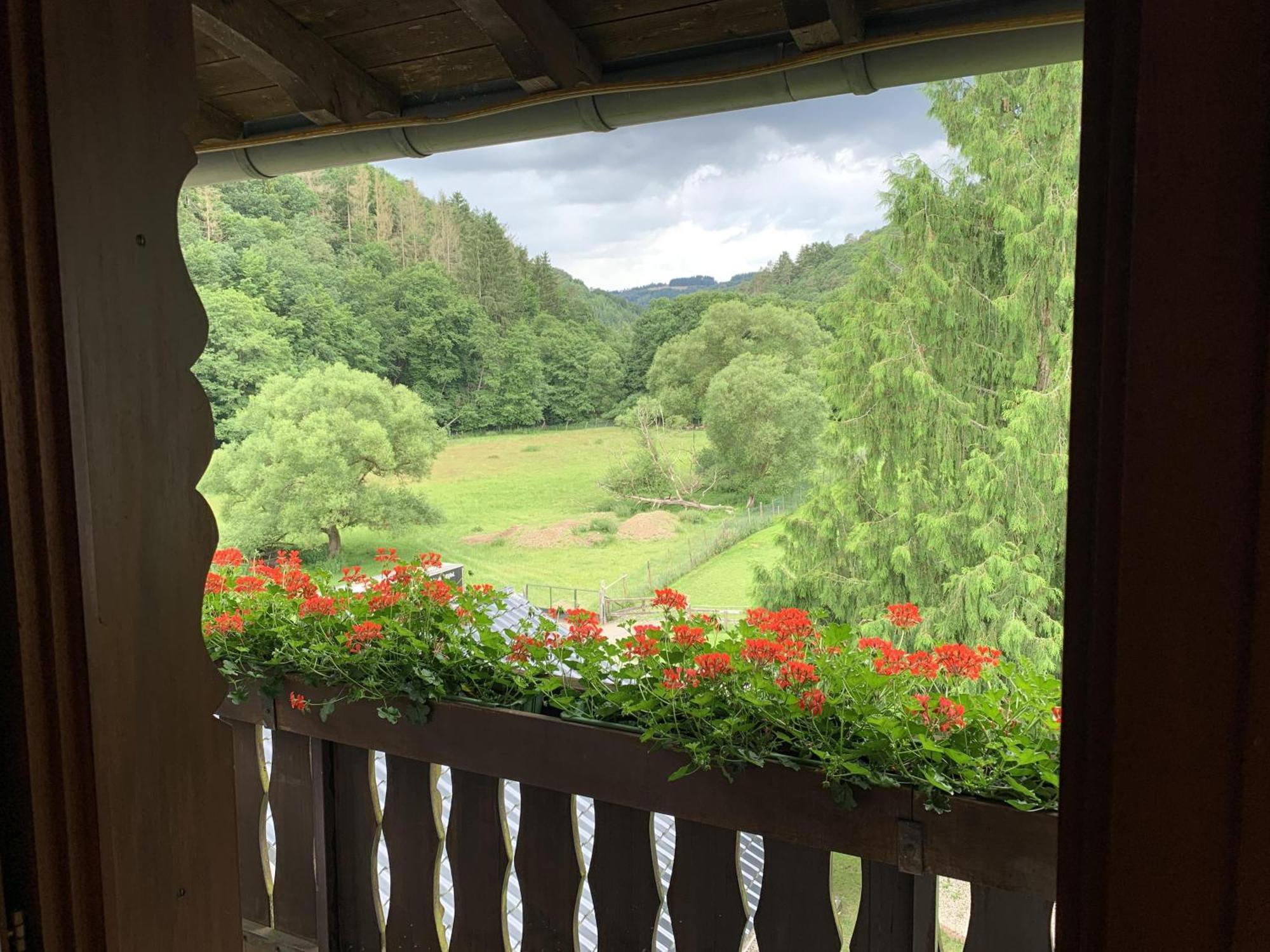 Hotel Forsthaus Volkesfeld Quarto foto